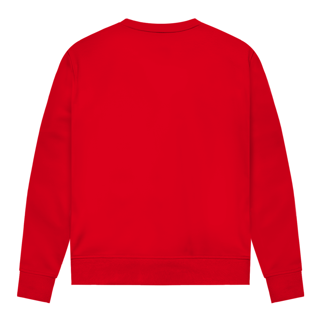 Marienkäfer Pullover Damen "Ich mag halt einfach Marienkäfer, ok?"