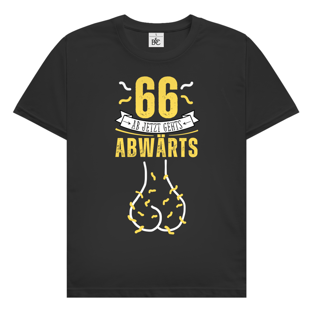 Herren T-Shirt "66 ab jetzt gehts abwärts"