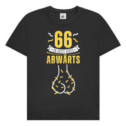 Herren T-Shirt "66 ab jetzt gehts abwärts"