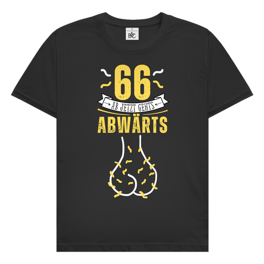 Herren T-Shirt "66 ab jetzt gehts abwärts"